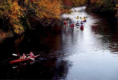 Autumn on the Taunton River